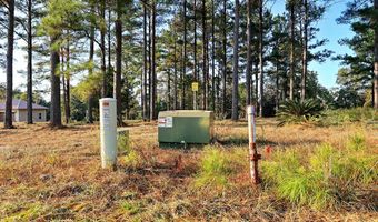 0000 Mountain View Way, Bainbridge, GA 39819