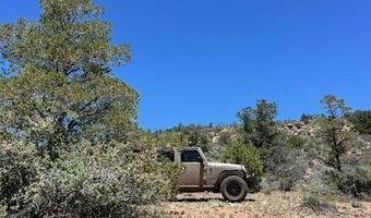 307 Of Old Deputy Shortline, Ash Fork, AZ 86320