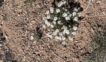 206 Brava Ln, Ash Fork, AZ 86320
