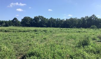 0000 Old Plain Dealing Rd, Benton, LA 71006