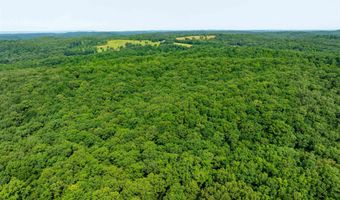 Cave Creek Road, Batesville, AR 72501