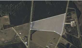 Morrisville Road, Andrews, SC 29510