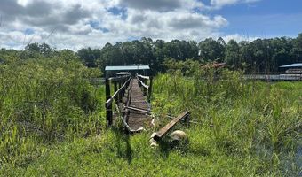2087 White Rd, Abbeville, AL 36310
