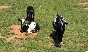 3410 Airline Rd, Anderson, SC 29624