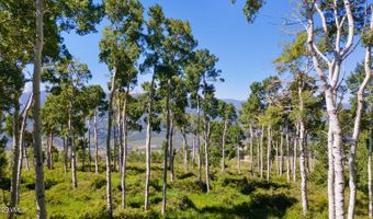 114 Goldenrod, Avon, CO 81620