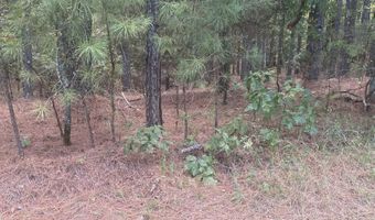19 Pizarro Dr, Hot Springs Village, AR 71909