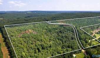 62 Beautiful Ac Toney Dr, Altoona, AL 35952