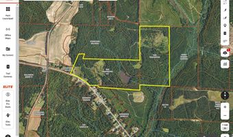 TBD County Road 40, Abbeville, AL 36310