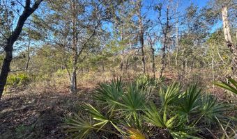 NW Lake McKenzie Rd, Altha, FL 32421