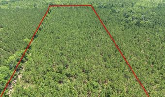 0 Oriole Rd, Alma, GA 31510