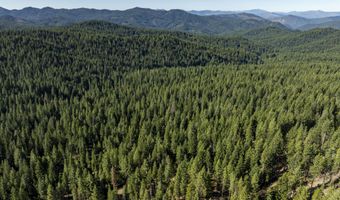 Hungry Ridge, Ashland, OR 97520