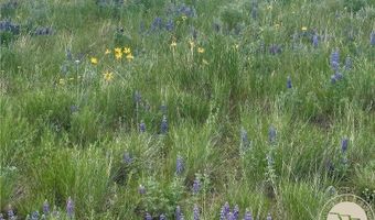 15 9 Ac Buck Creek Rd, Absarokee, MT 59001