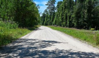 Rooks Road, Atkinson, NC 28421