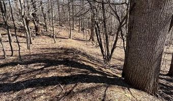Tdb Nettles Ridge Road, Banner Elk, NC 28604