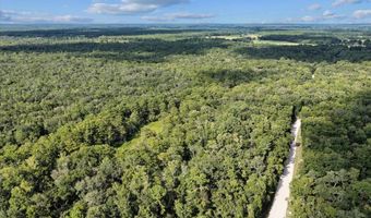 000 73rd Way, Bell, FL 32619