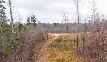 Reed Road, Alexander, AR 72002