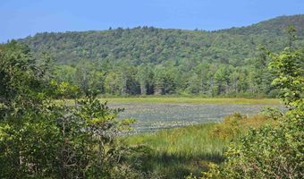 154 Reed Rd, Athens, VT 05143