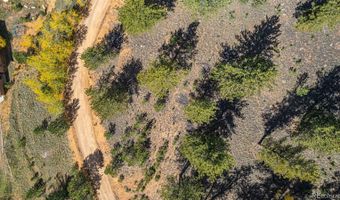 103 Gross Rd, Bailey, CO 80421