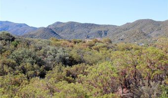 59401 Trails End Ln, Anza, CA 92539