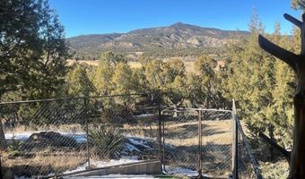 940 CR 973, Arboles, CO 81121
