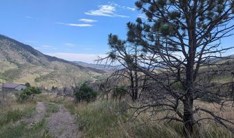 439 Redtail Ridge Way, Bellvue, CO 80512