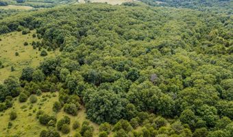 Co Rd 539, Ava, MO 65629