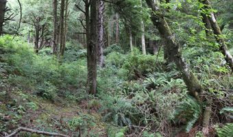 Picture Windw Lane, Arch Cape, OR 97102
