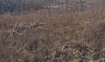 85 6+/- Acres County Road 2291, Booneville, MS 38829