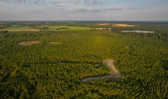 Mann Road, Arabi, GA 31712