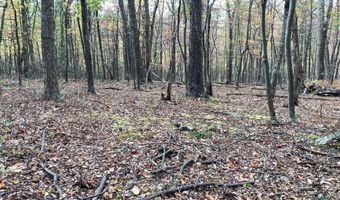 BIG HORN Trail, Augusta, WV 26704