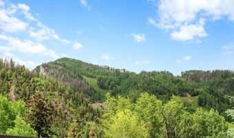 925 E DURANT Avenue 2, Aspen, CO 81611