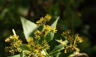 501 Caldwell Rd, Blacksburg, SC 29702