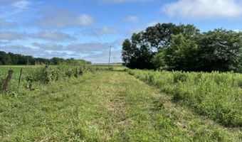 Tract Tbd W Farm Road 64, Ash Grove, MO 65604