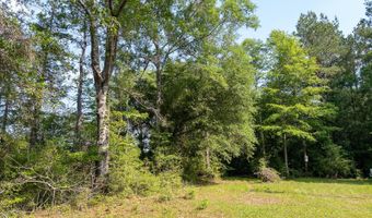 10 AC +/- Gravel Pit Lake Rd, Beaumont, MS 39423