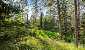 131 McCaffery Lookout Trl, Bigfork, MT 59911