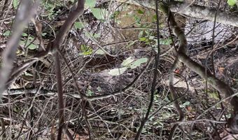 Putnam Avenue lot 30, Alford, FL 32420