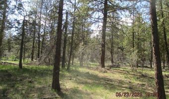 Golden Eagle Drive 5, Bonanza, OR 97623