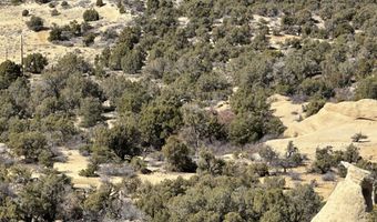 County Road 2550, Aztec, NM 87410