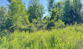 13513 100th St SE, Alto, MI 49302