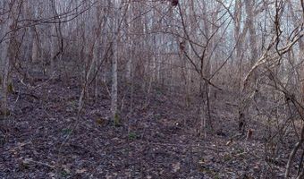Toole Creek Road, Abingdon, VA 24210