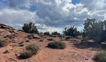 51 N9087, Concho, AZ 85924