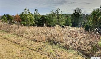 TBD Splendors Gate Rd, Axton, VA 24054