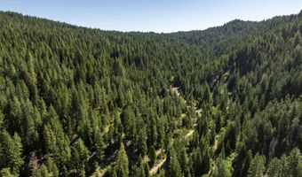 Hungry Ridge, Ashland, OR 97520