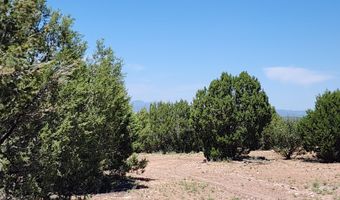 Lot 13 Ranch And Cattle, Ash Fork, AZ 86320