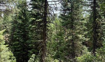 53 Landale Ln 37, Cascade, ID 83611
