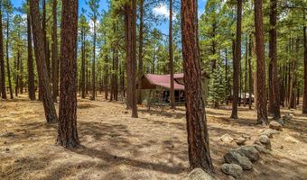 8 County Road 2267, Alpine, AZ 85920