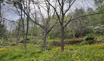 Tbd Old Hartley Road, Banner Elk, NC 28604