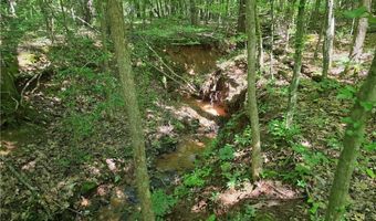 0 Lawson Federal Rd, Ball Ground, GA 30107