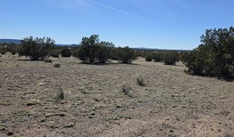 Tanner Rd lot 8B, Ash Fork, AZ 86320