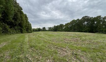 3450 E New Roe Rd, Adolphus, KY 42120